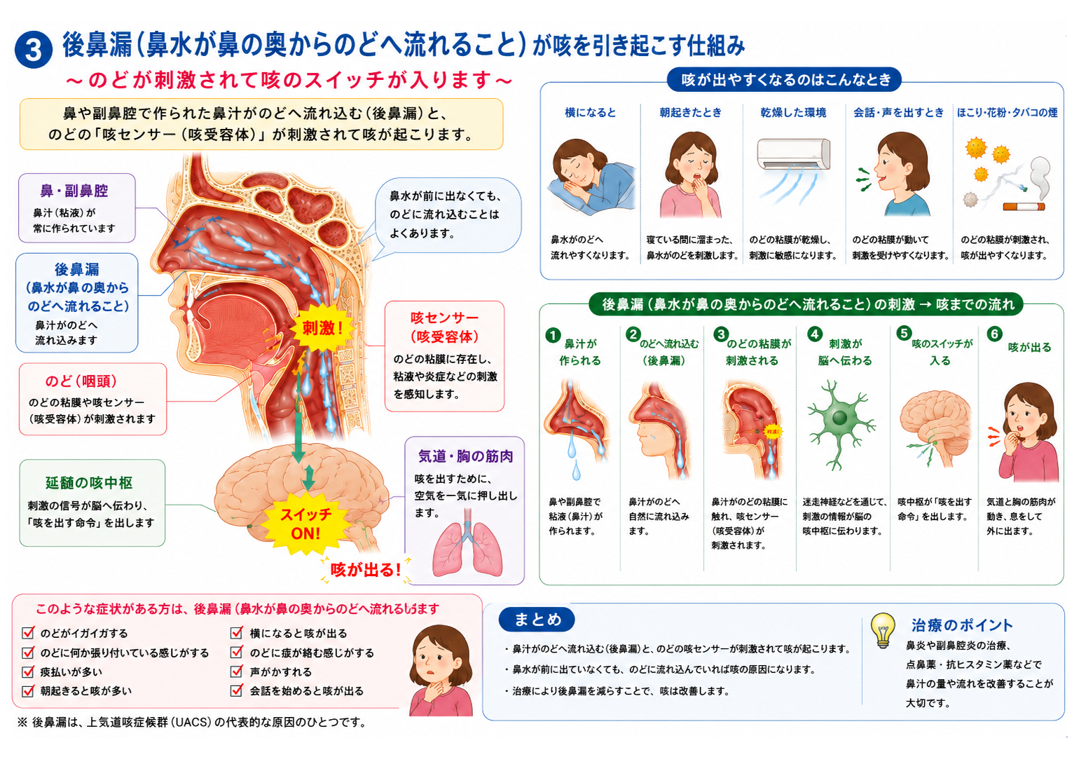 後鼻漏（鼻水が鼻の奥からのどへ流れること）が咳を引き起こす仕組みの図解